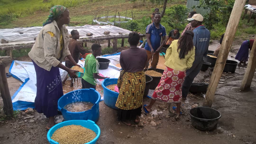 Unité de traitement du café